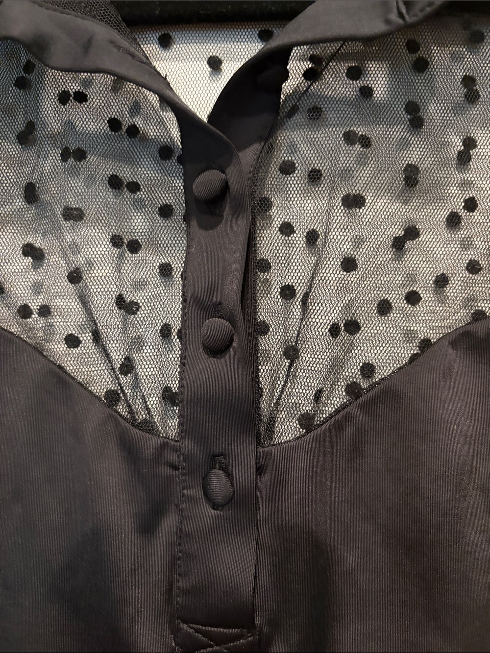 Thistle and Spire - Meserole Polka dot mesh long sleeve bodysuit. Small. Black - Picture 6 of 14